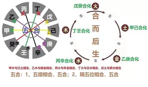 天干五合原理|八字中天干相合原理及意义